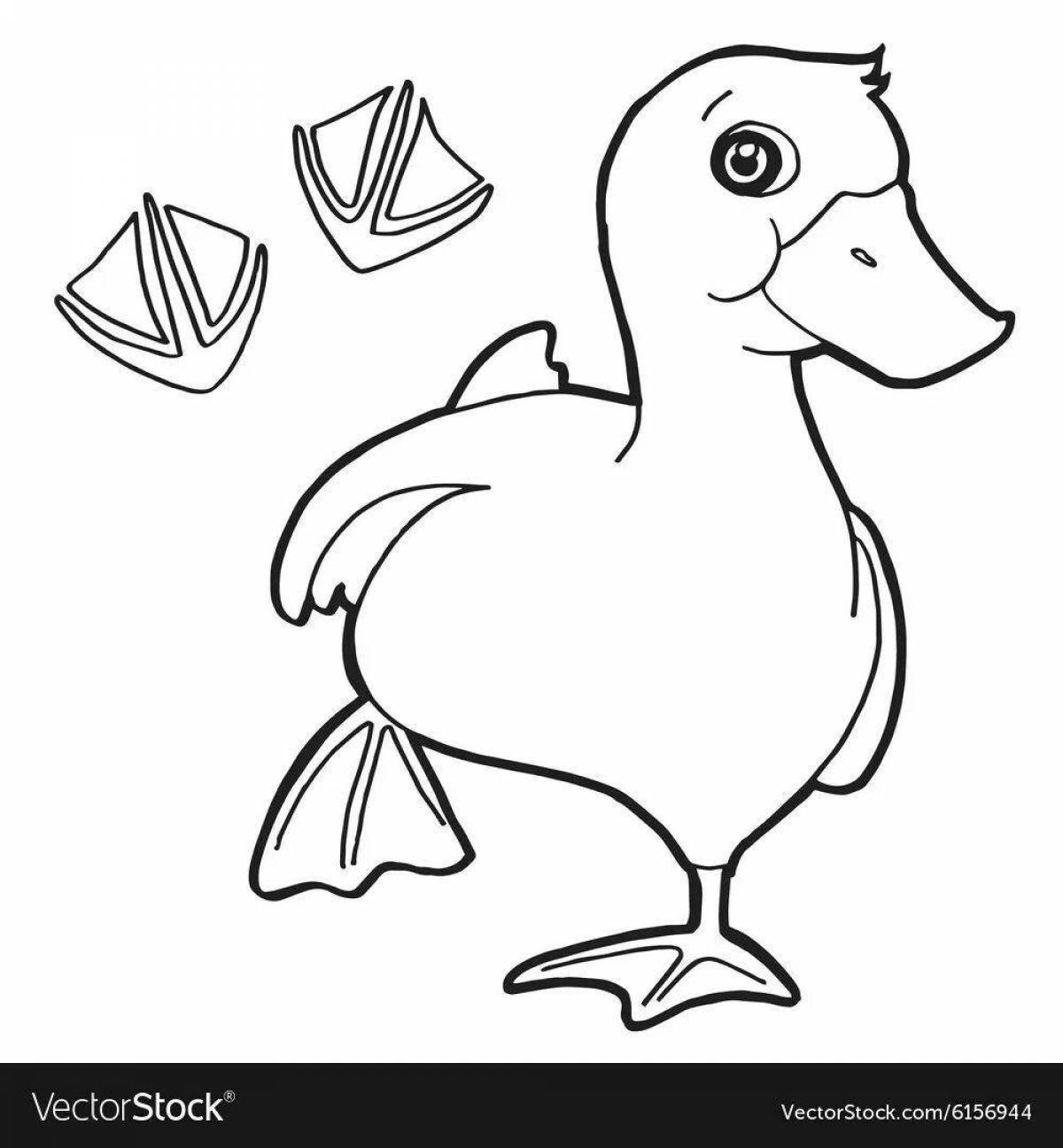 Animated duck coloring page