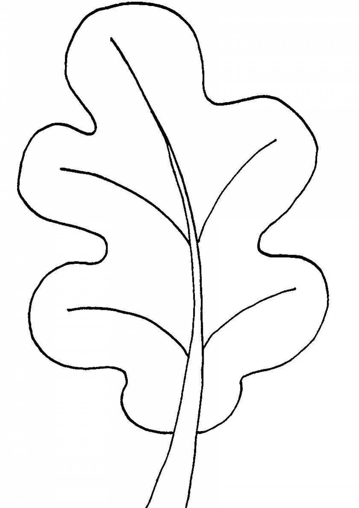 Раскраска яркий дубовый лист