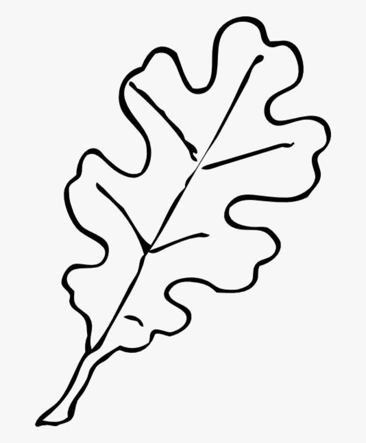 Раскраска прекрасный дубовый лист