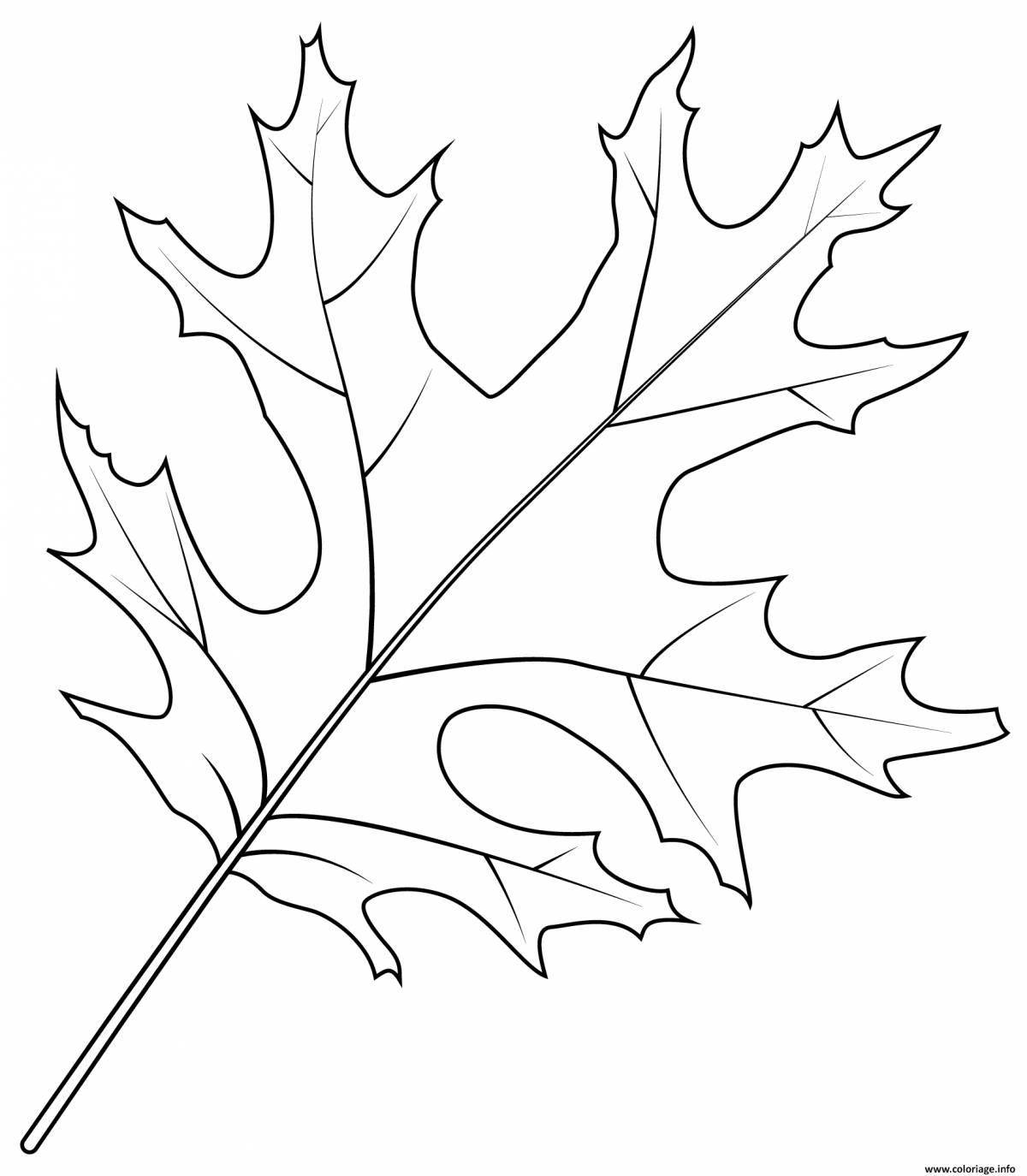 Amazing oak leaf coloring page