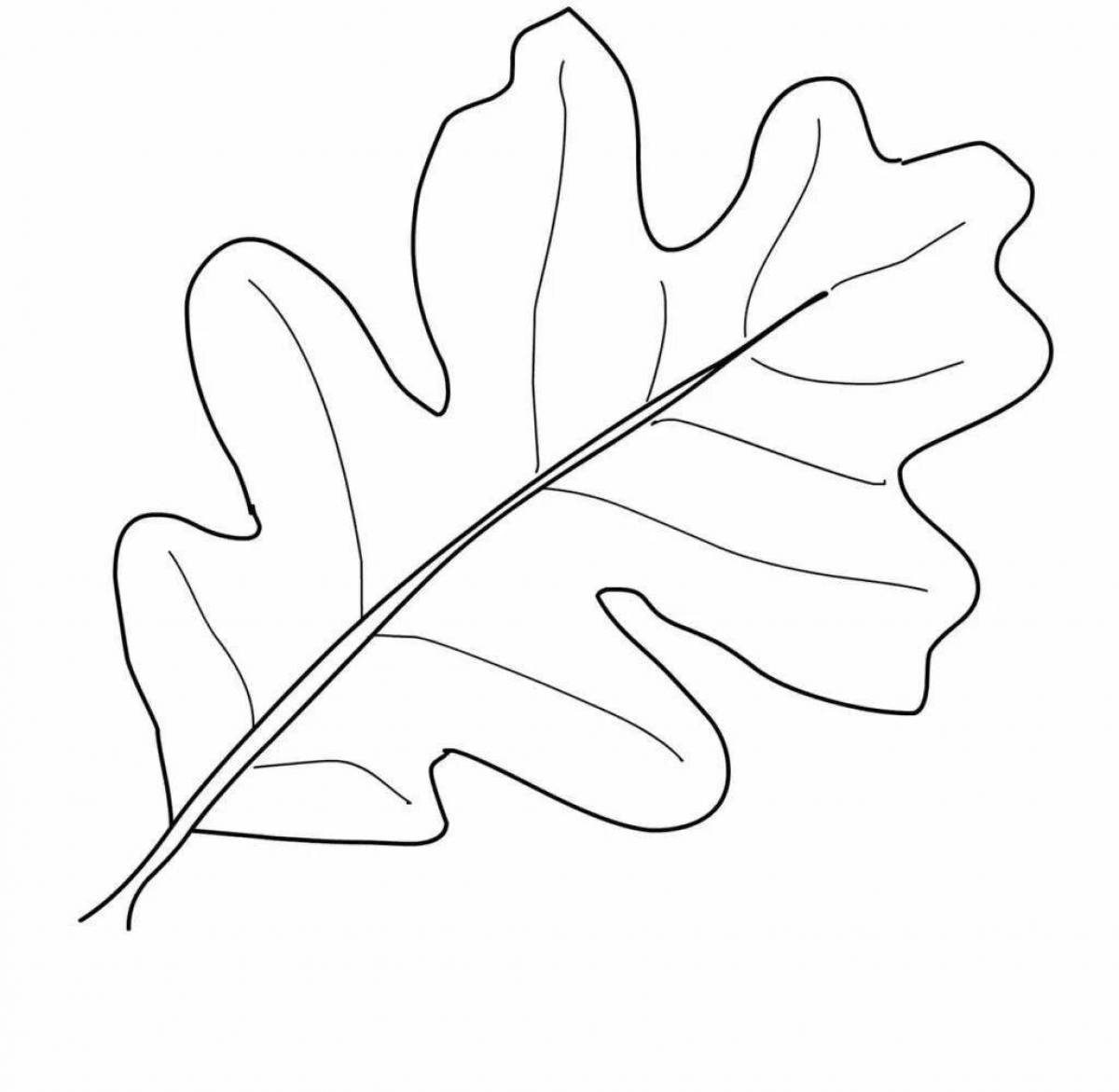 Очаровательная страница раскраски дубового листа
