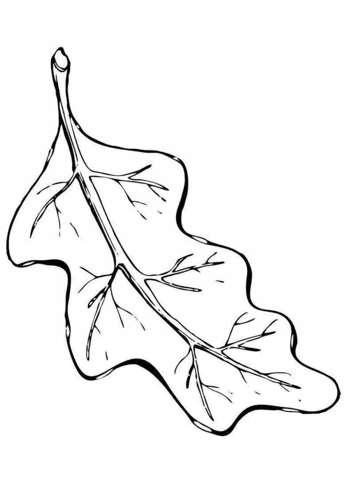 Charming oak leaf coloring page