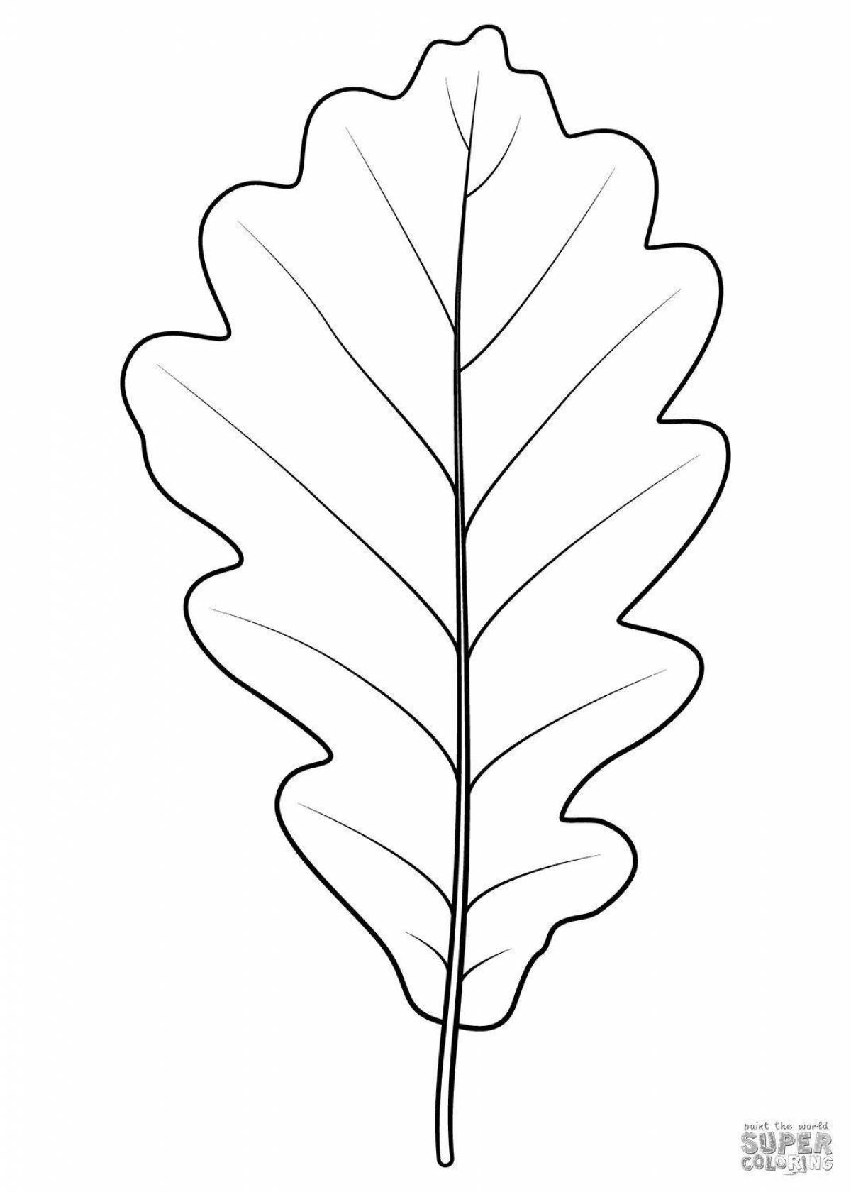 Блестяще окрашенный дубовый лист раскраска