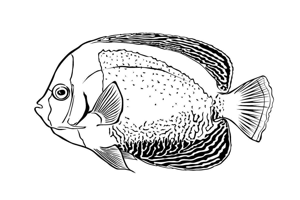 Coloring page magnificent sea fish