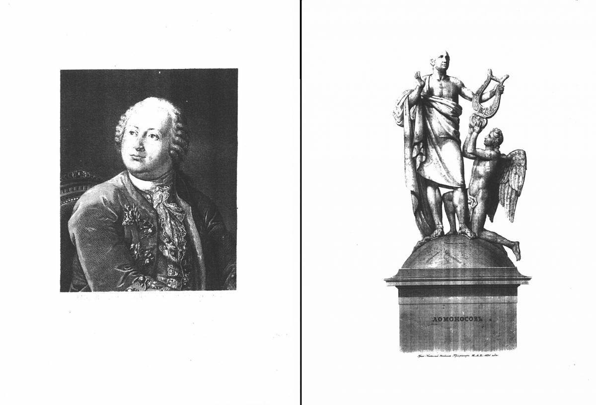 Раскраска игривый ломоносов