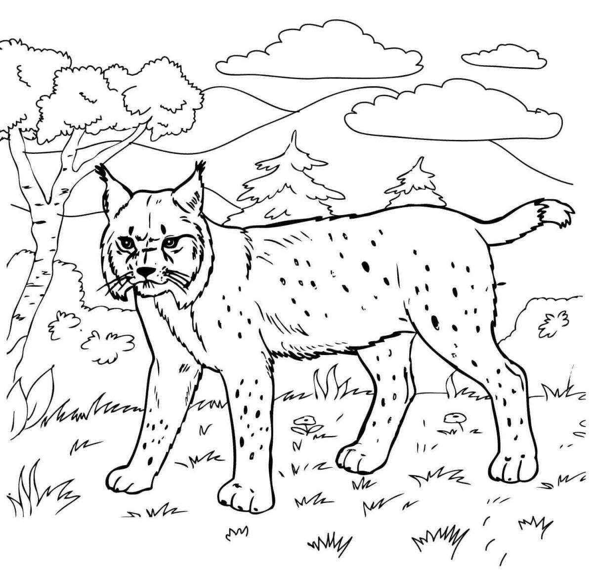 Fun coloring animals pdf
