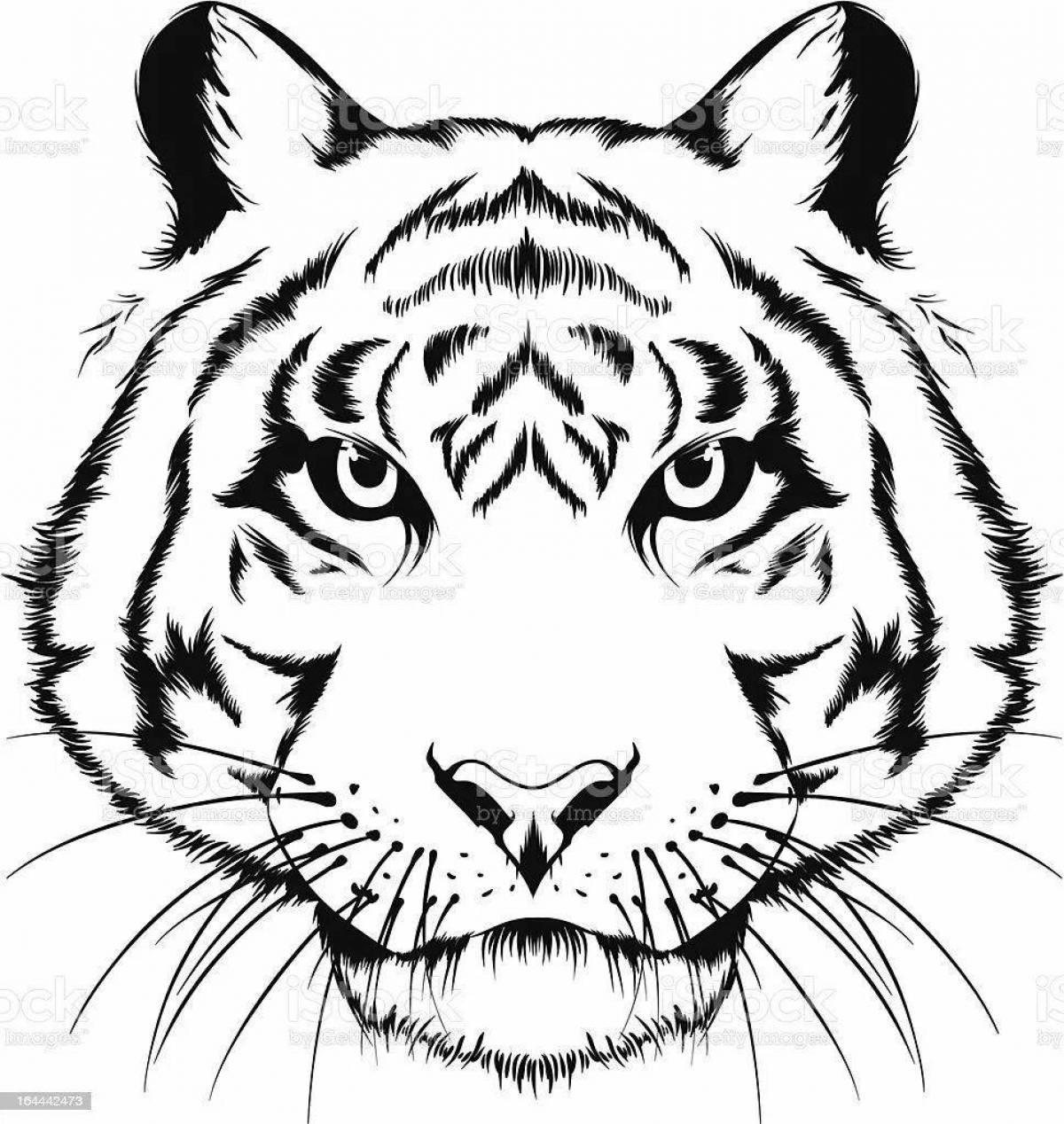 Tempting tiger head coloring book