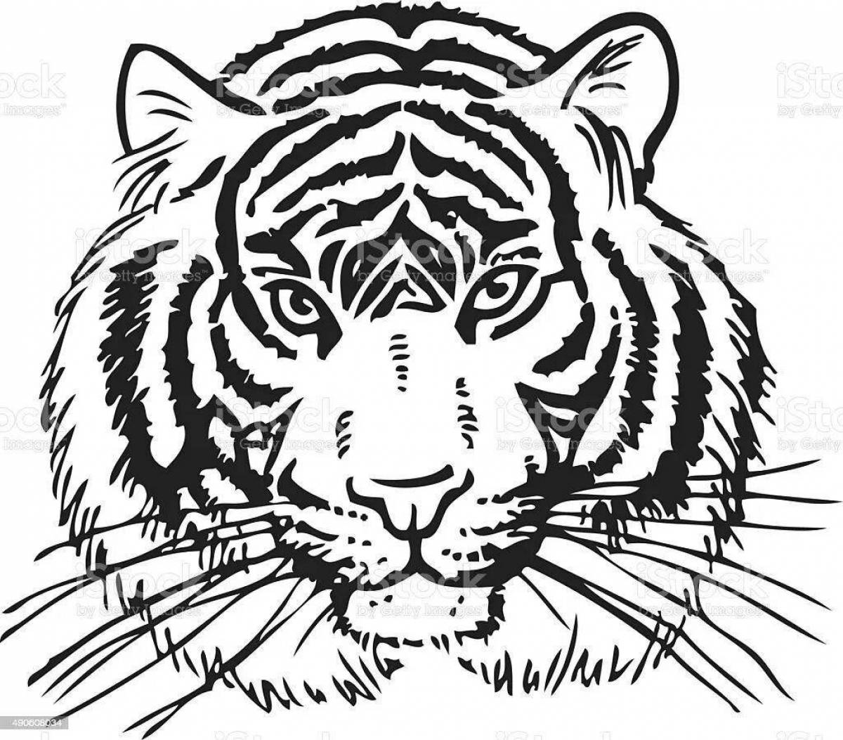 Увлекательная раскраска голова тигра