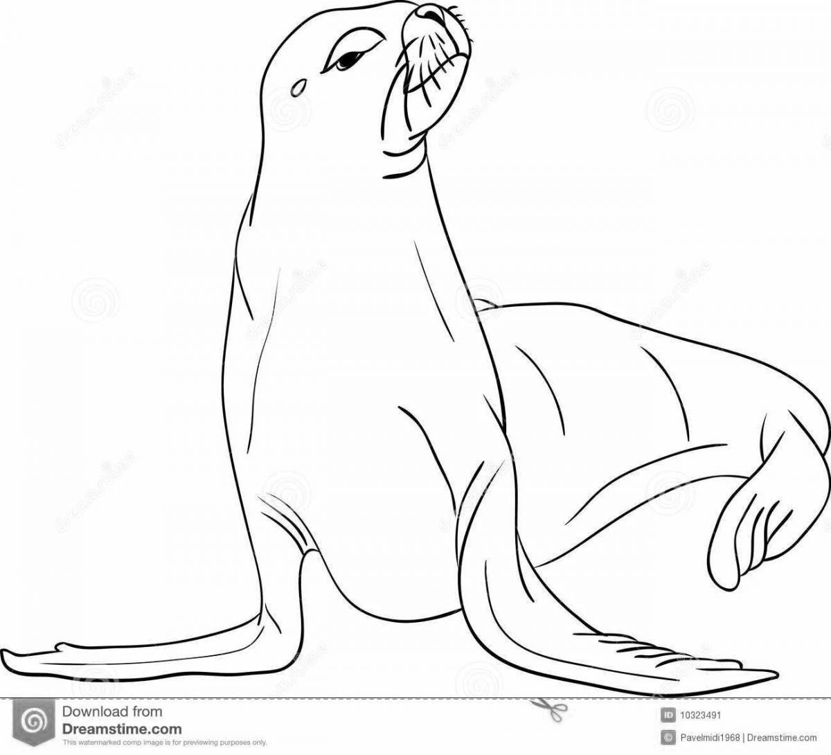 Gorgeous sea lion coloring page