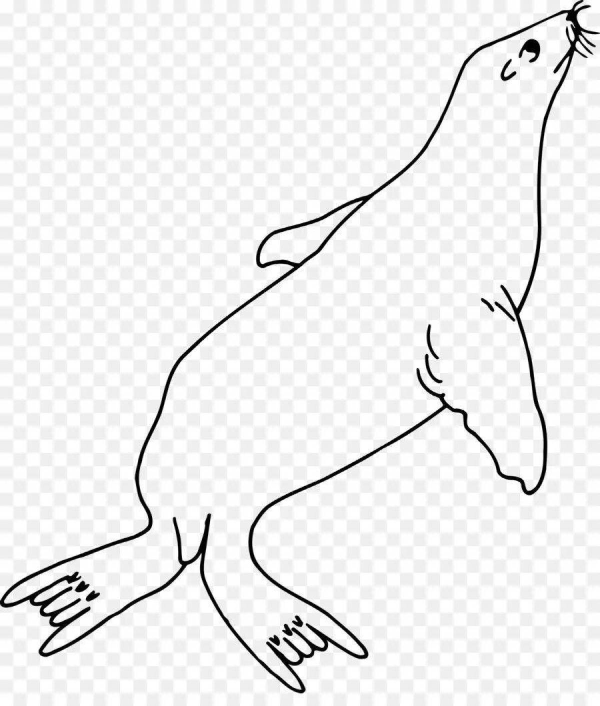 Coloring page funny sea lion