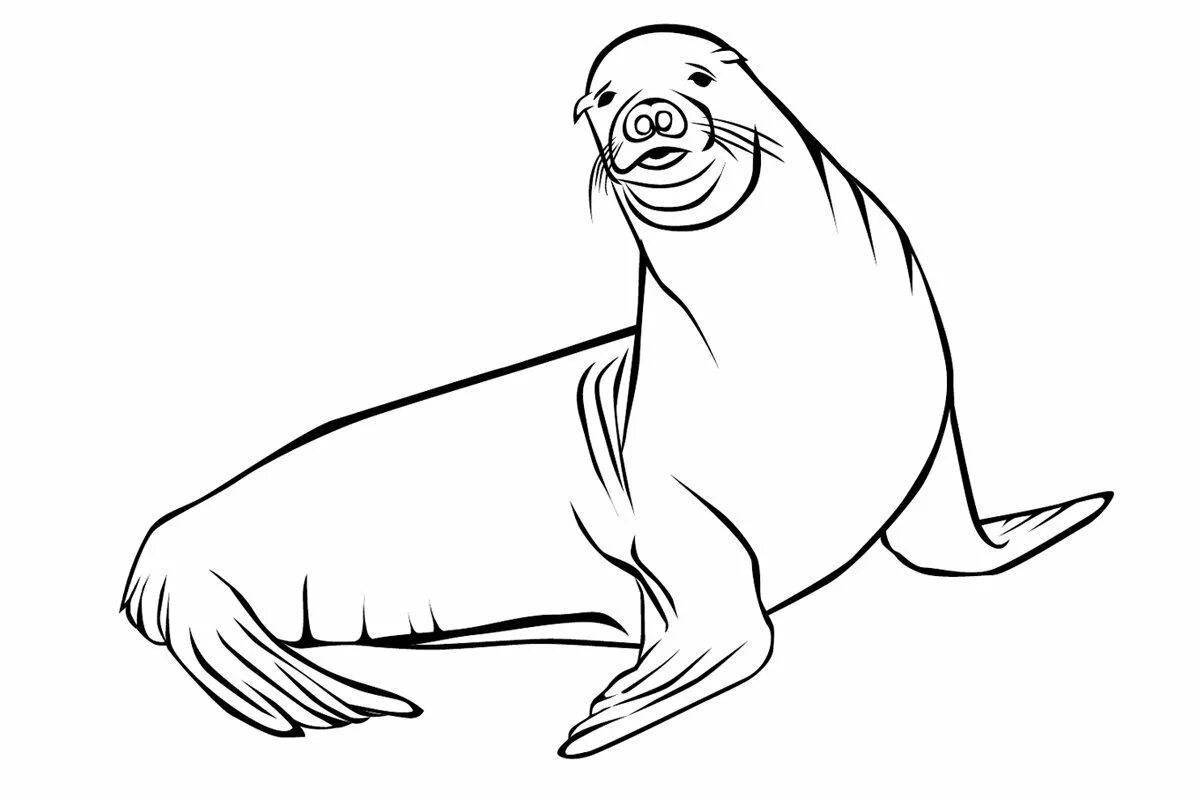 Coloring page happy sea lion