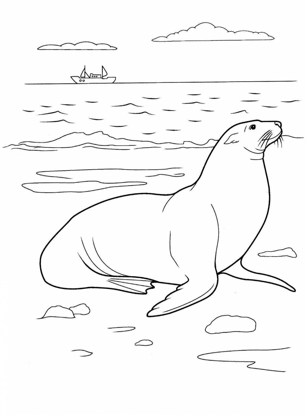 Glorious sea lion coloring page