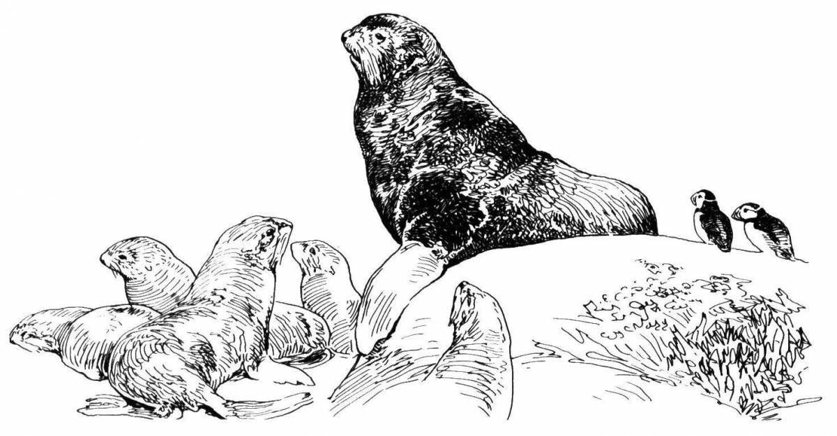Violent sea lion coloring book