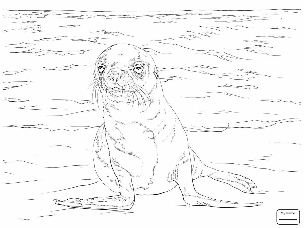 Shiny sea lion coloring page