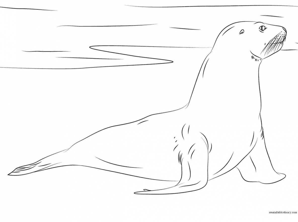 Exotic sea lion coloring page