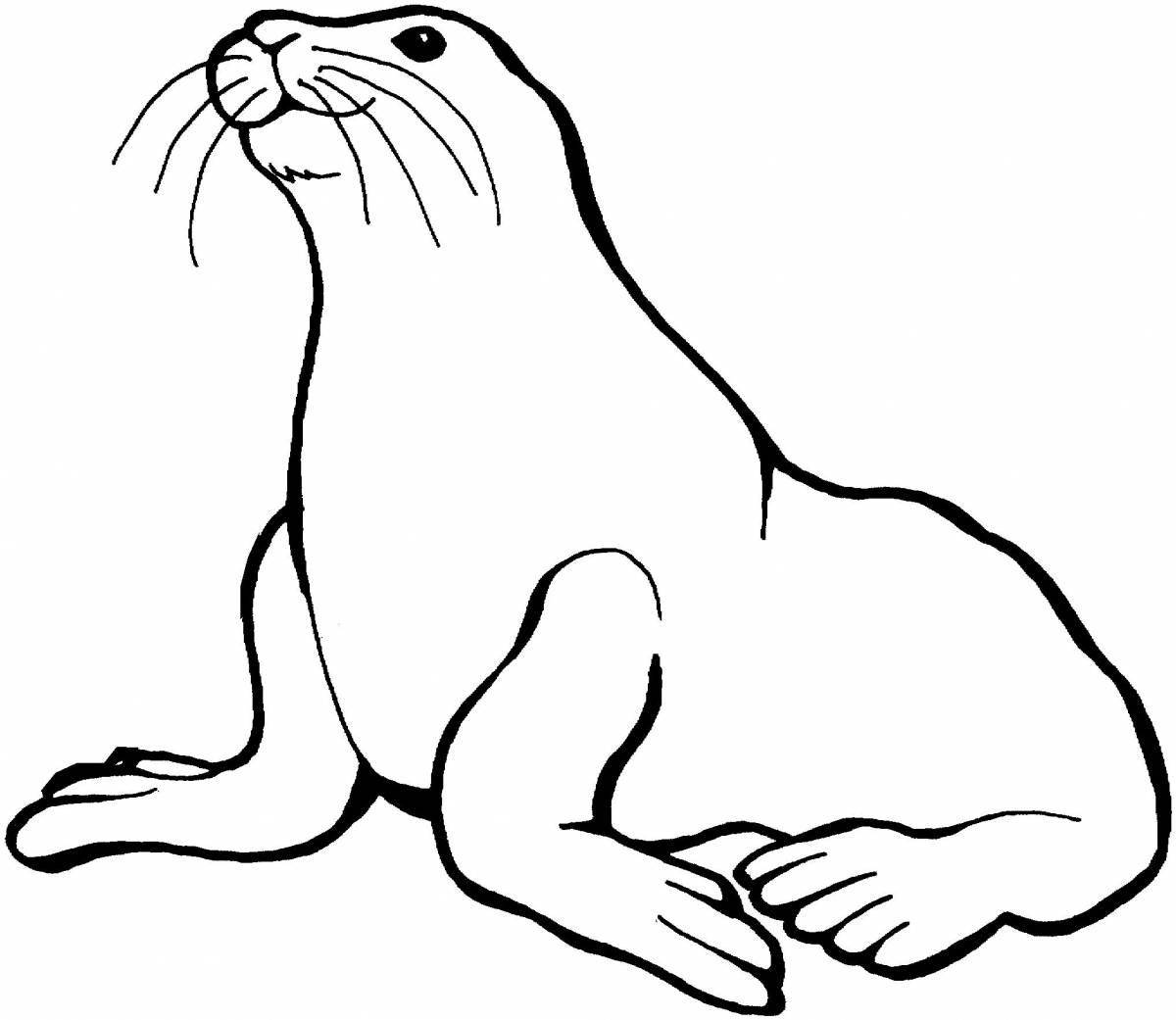 Awesome sea lion coloring page