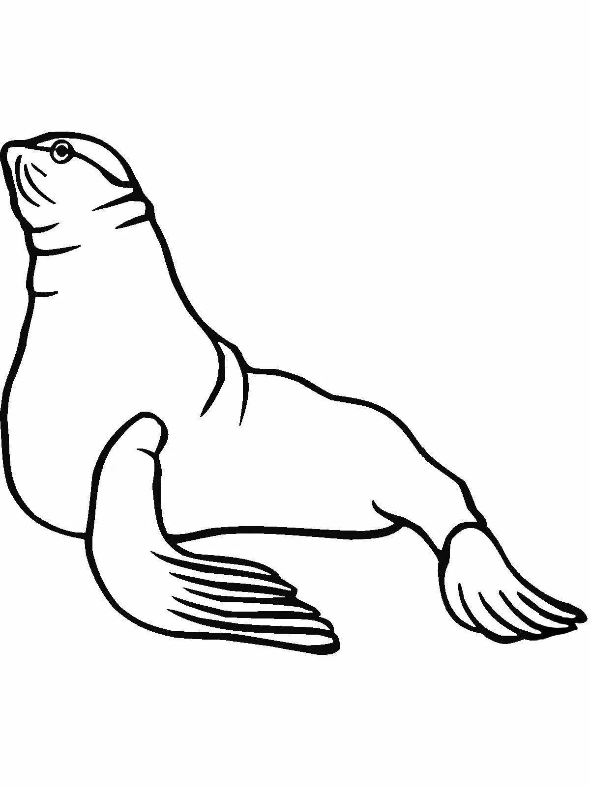 Outstanding sea lion coloring page
