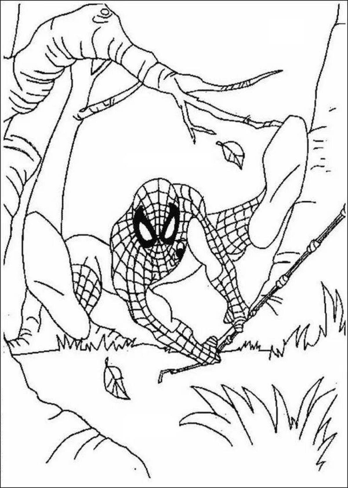 Funny cartoon spider coloring book