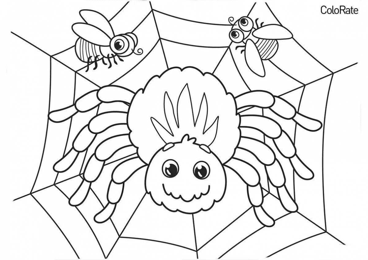Раскраска «мультяшный паук»