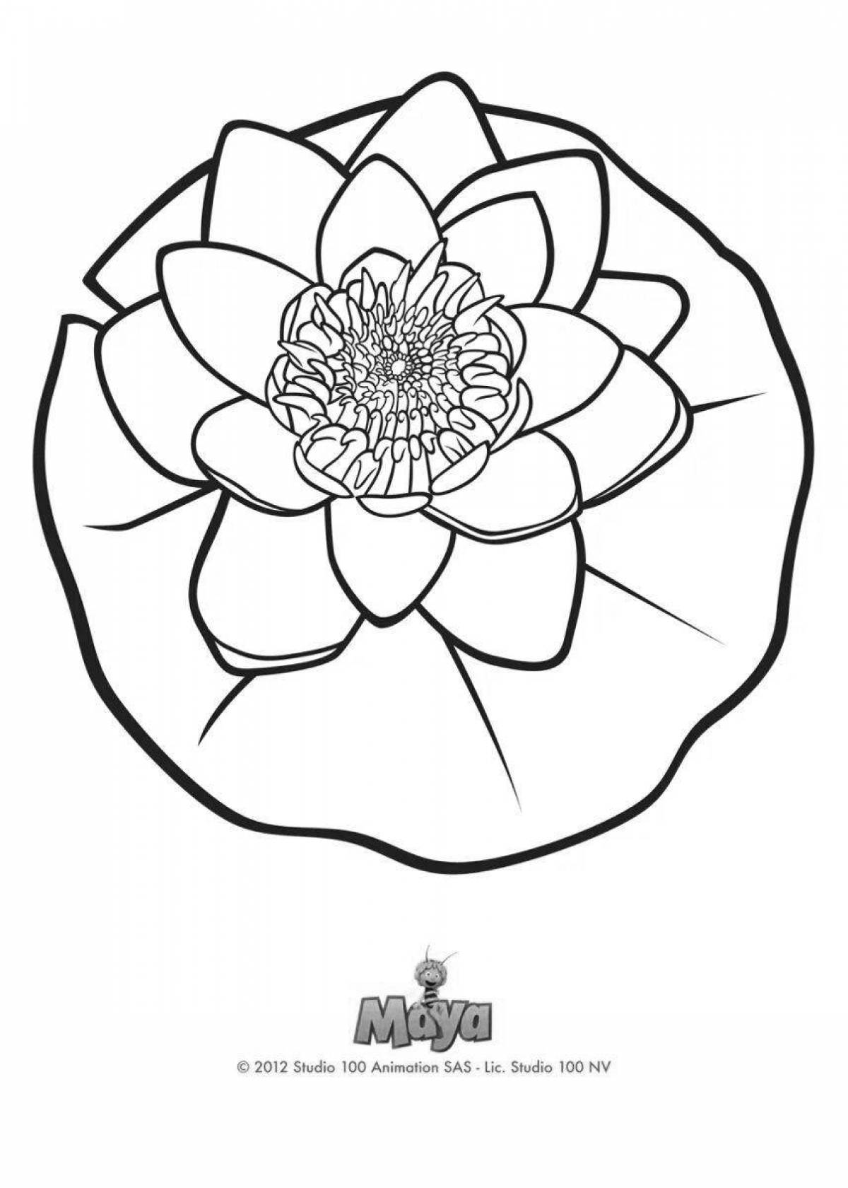 Exquisite yellow water lily coloring book