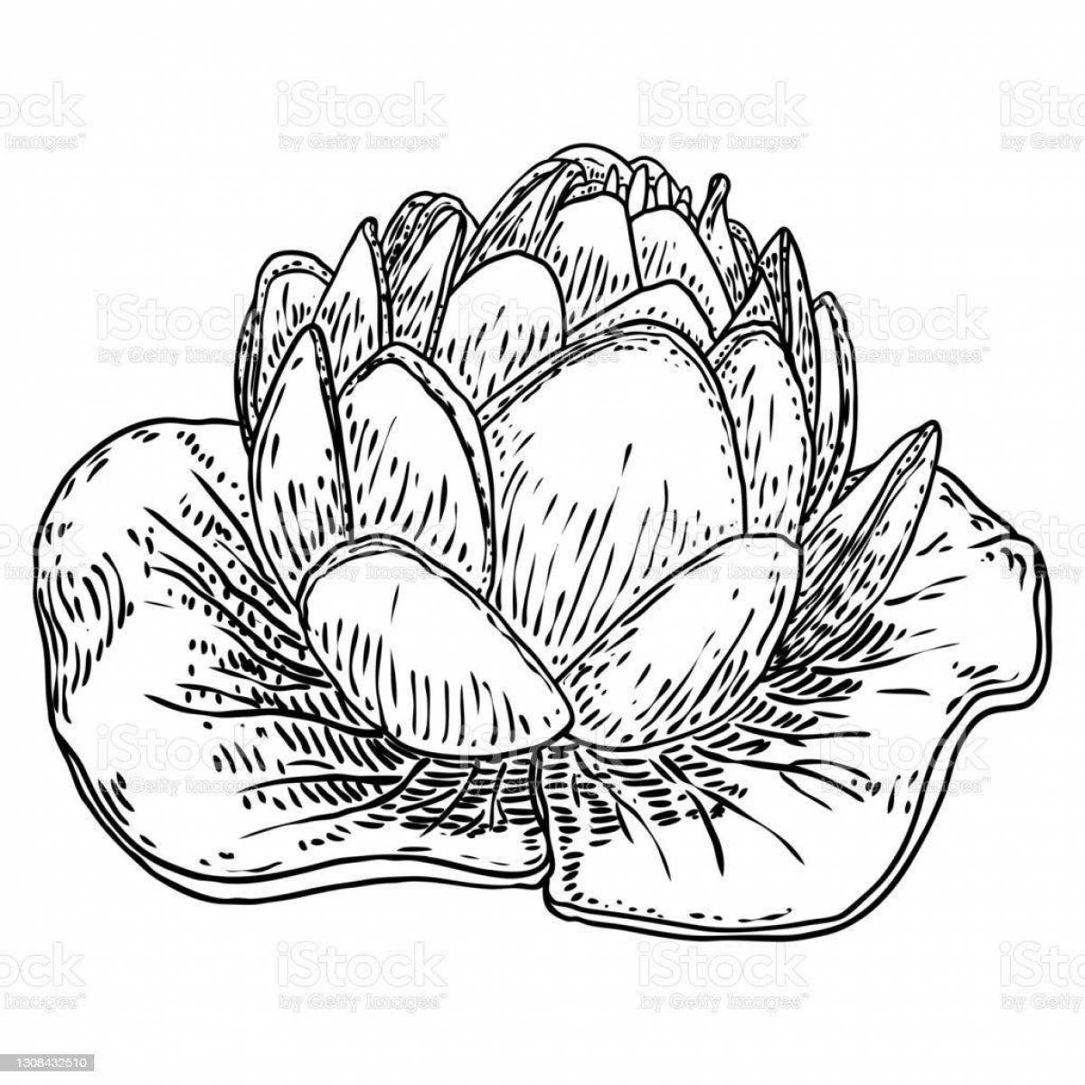 Charming yellow water lily coloring book