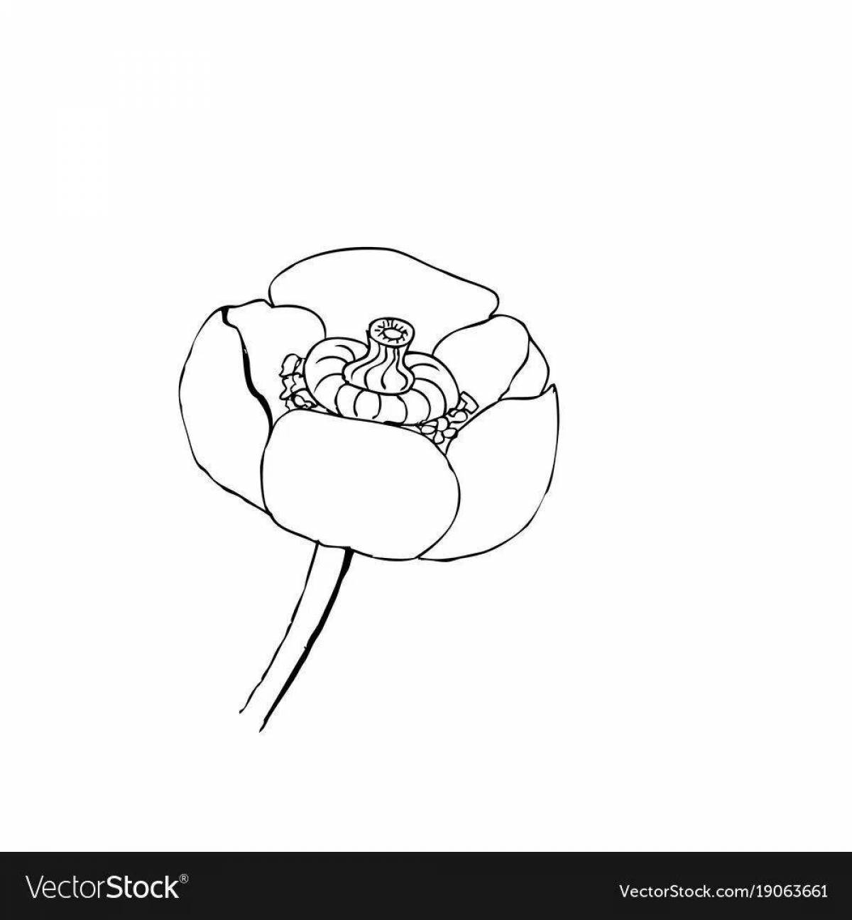 Beautiful yellow water lily coloring book