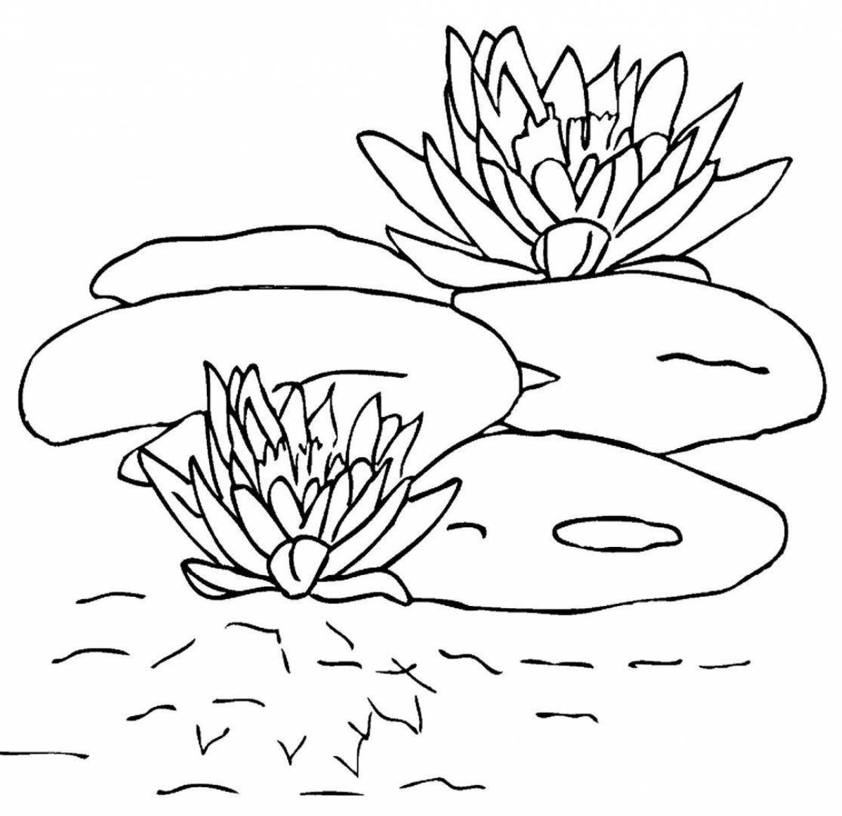 Playful yellow water lily coloring book