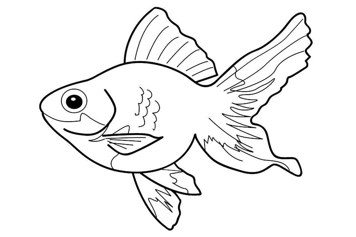 Веселая раскраска рыбка для детей