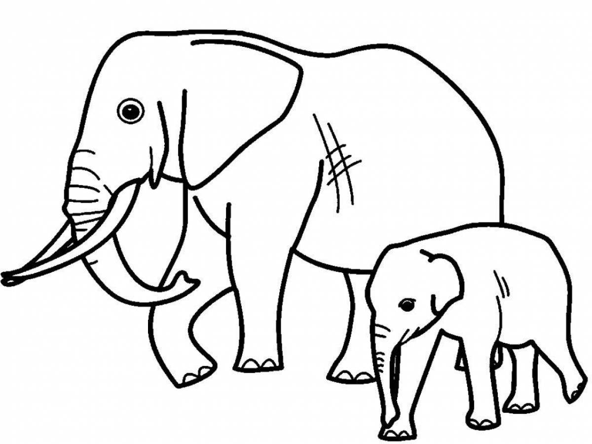 Чудесный слон раскраски для детей