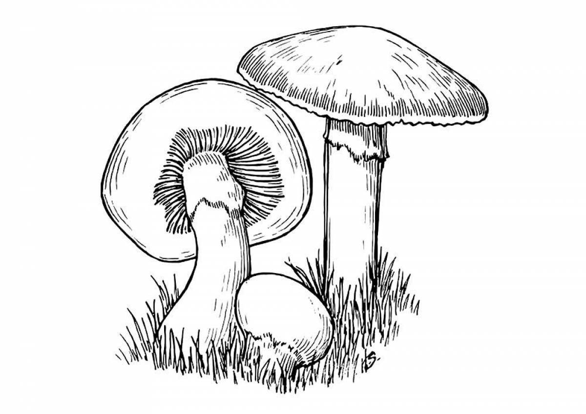 Glowing mushrooms coloring page