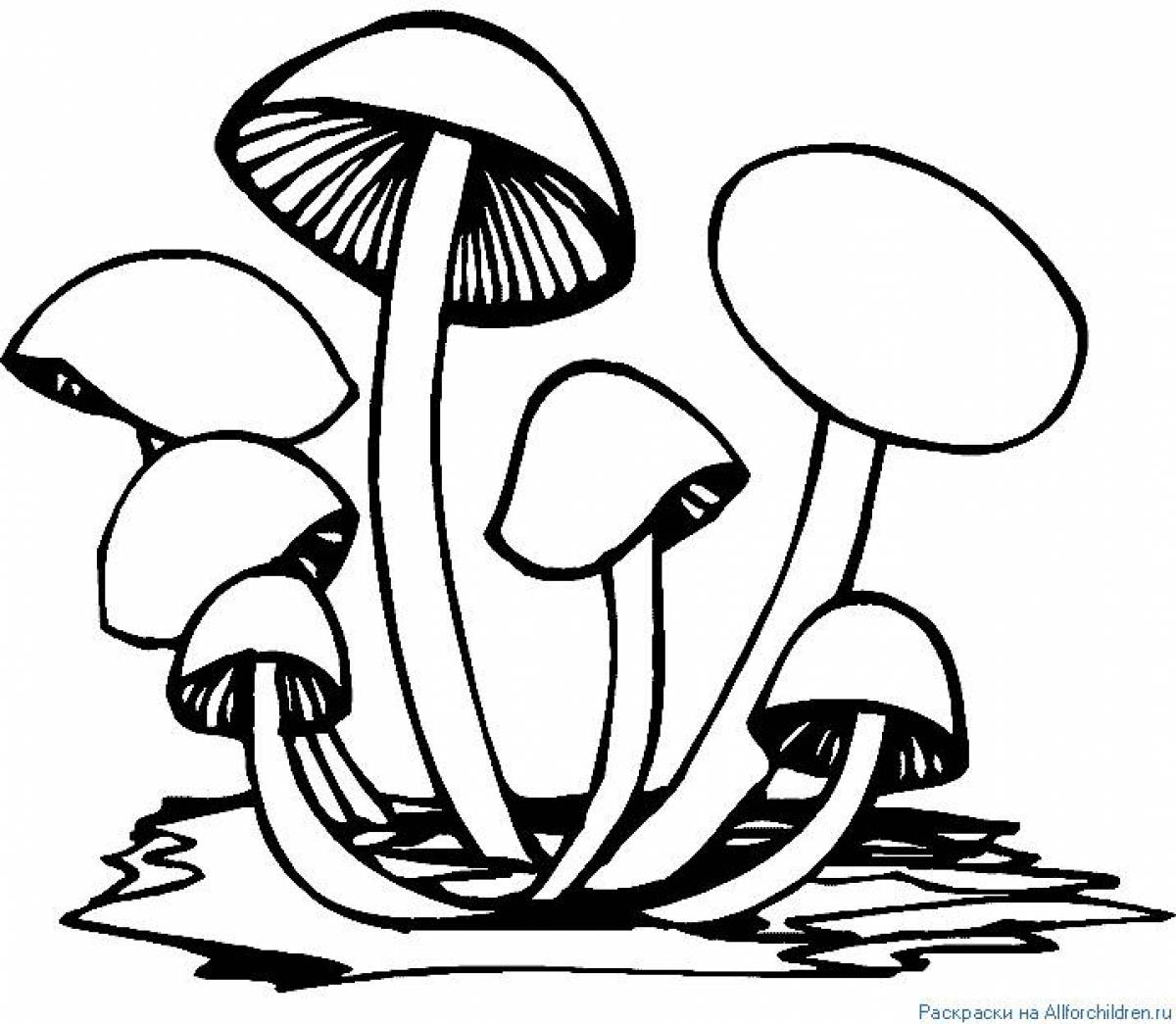 Раскраска сказочные грибы