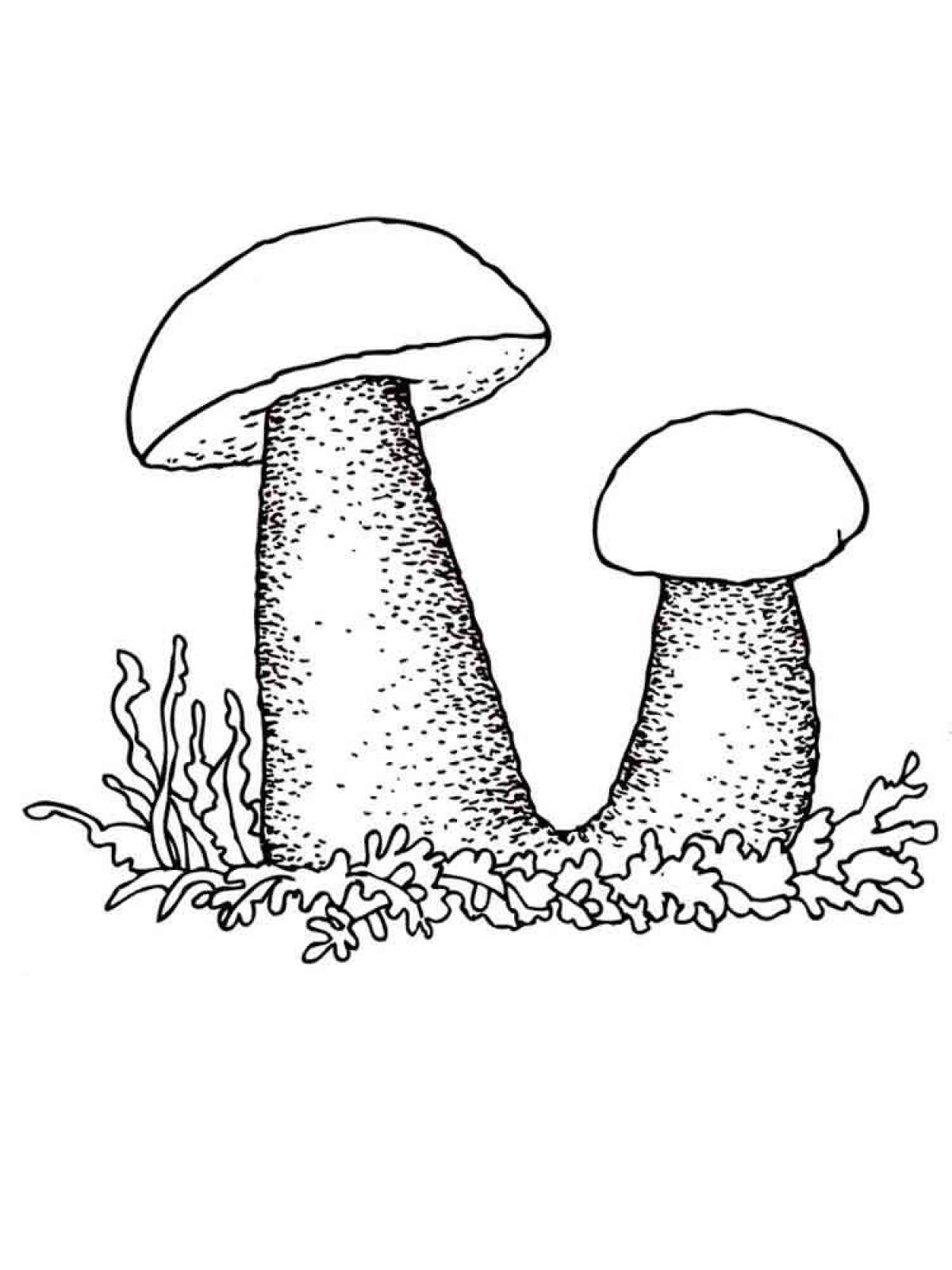Colored Mushroom Rabid