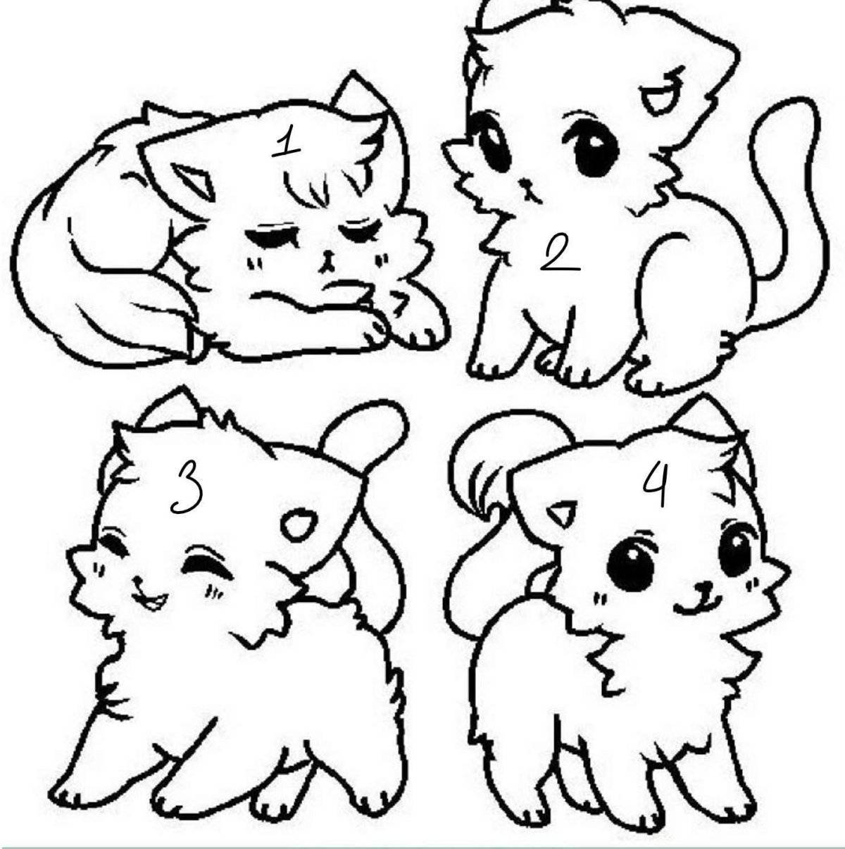 Fun coloring cute animals