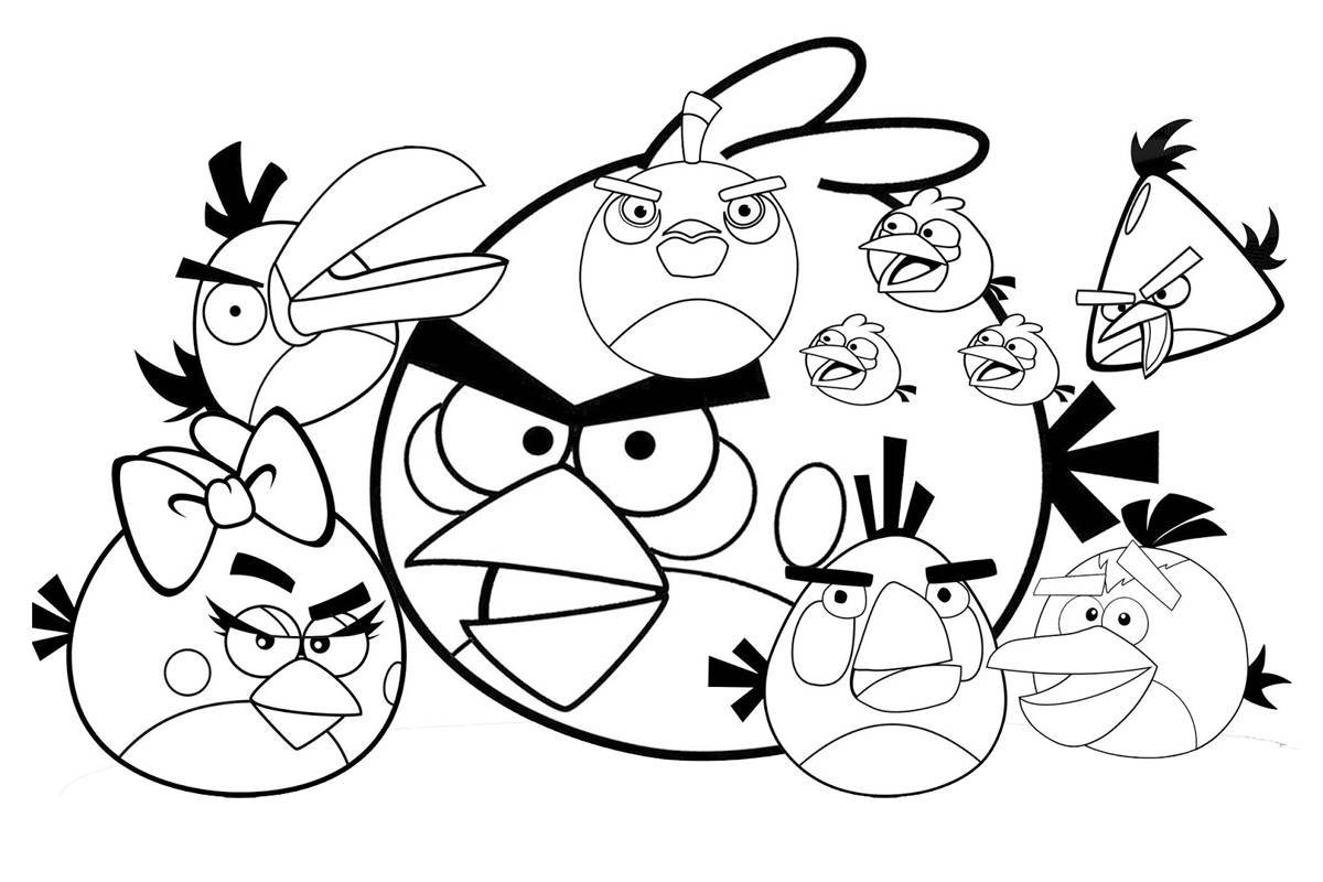 Attractive angry birds coloring book