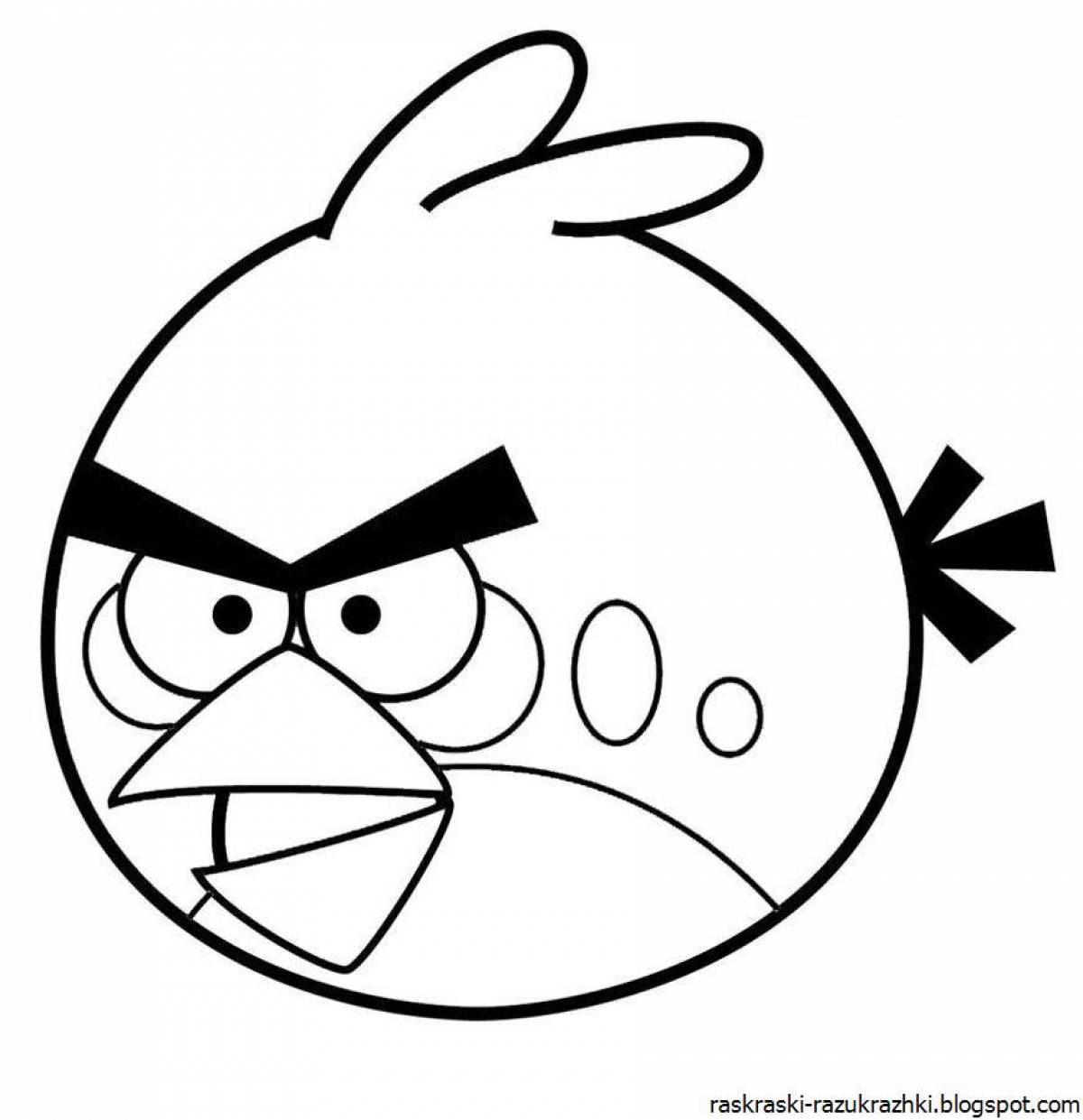 Friendly angry birds coloring book