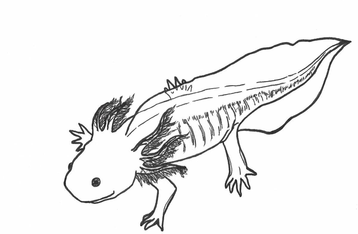 Charming axolotl coloring book