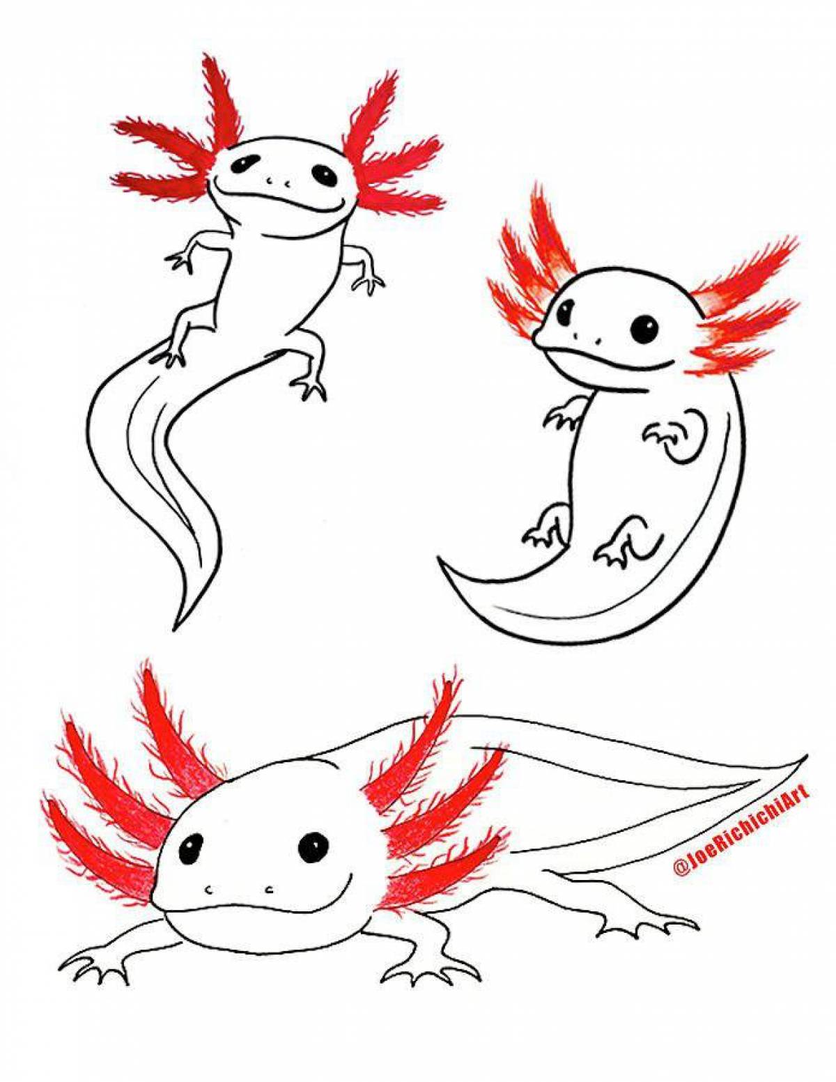 Magic coloring axolotl