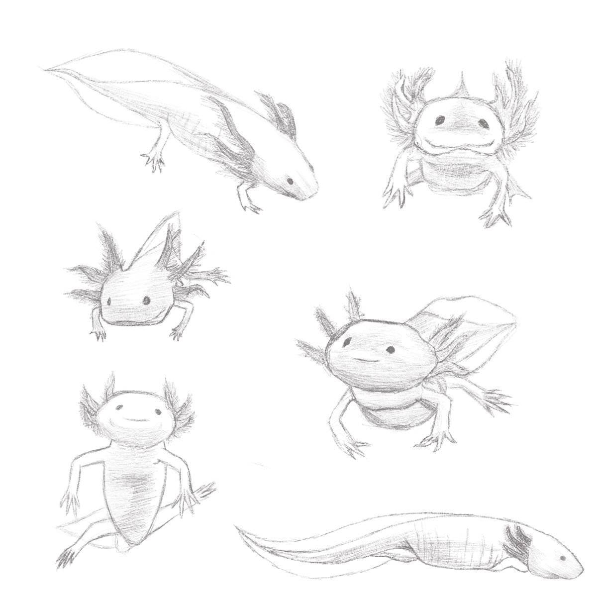 Humorous axolotl coloring book