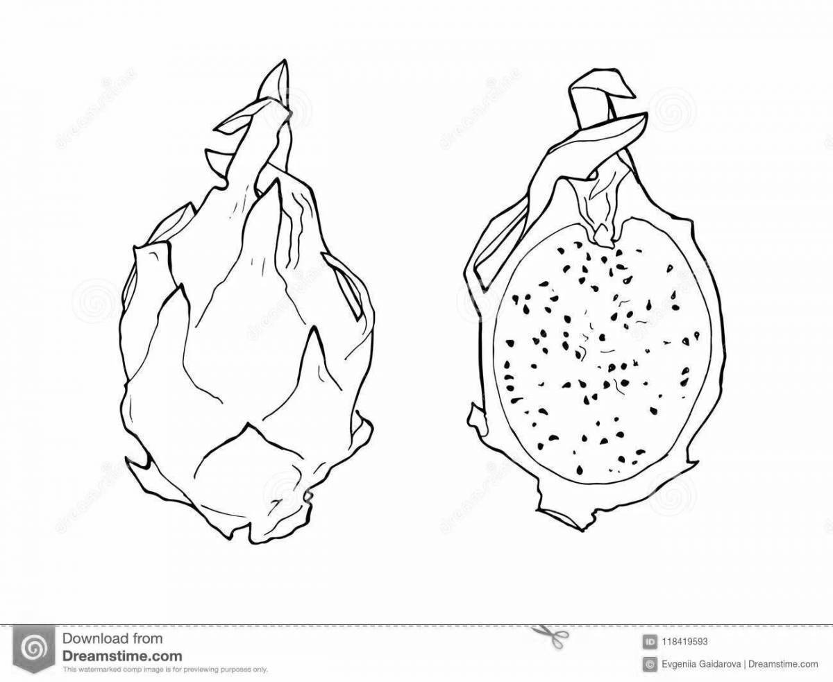 Питая рисунок. Драконий фрукт раскраска. Питахайя раскраска. Драконий фрукт набросок. Раскраска экзотические фрукты Драконий фрукт.