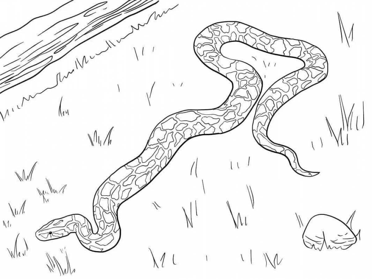 Radiant steppe viper coloring page
