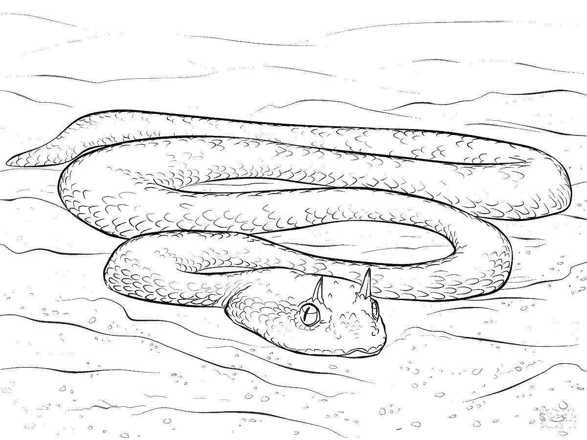 Coloring page glowing steppe viper