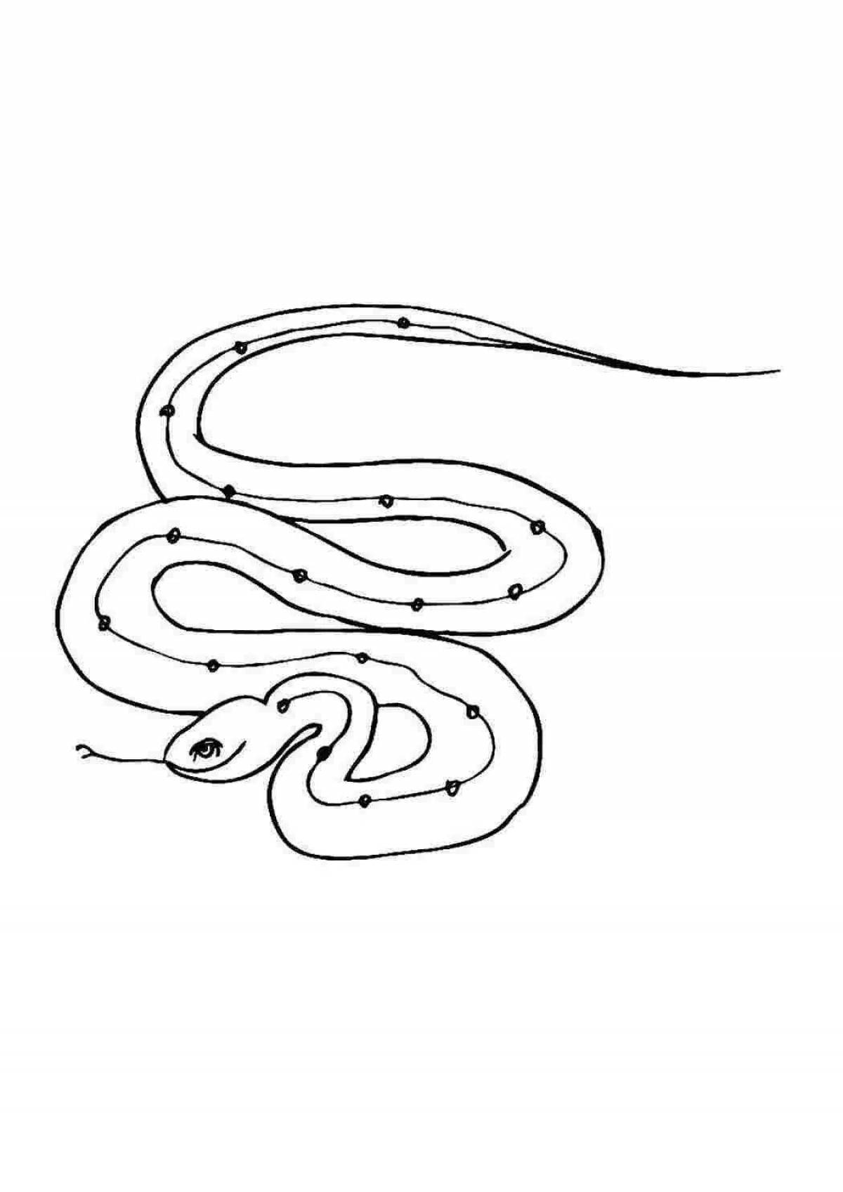 Coloring page graceful steppe viper