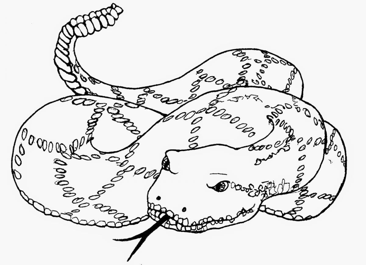 Beautiful steppe viper coloring page