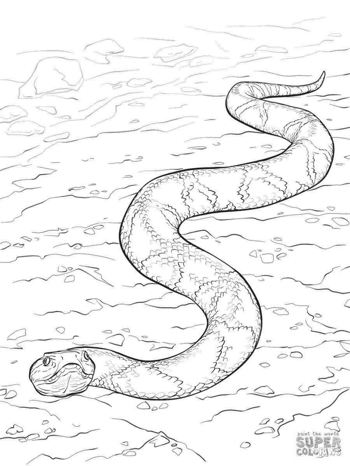 Coloring art steppe viper