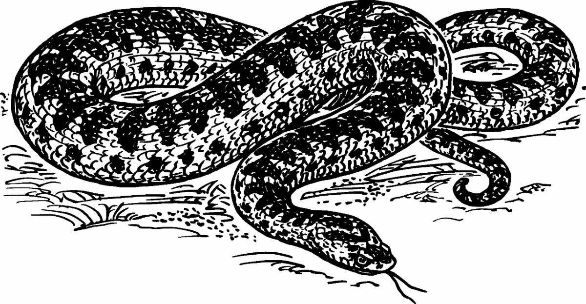 Amazing steppe viper coloring page