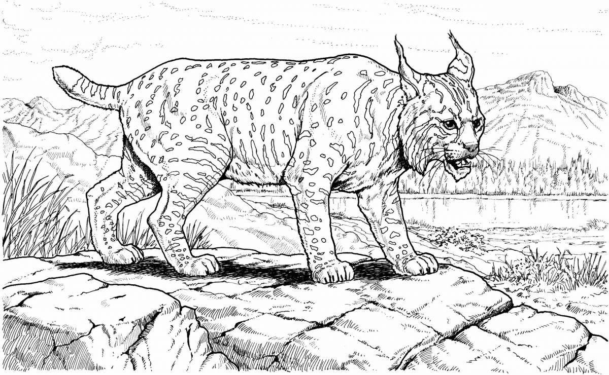 Coloring page graceful caucasian lynx