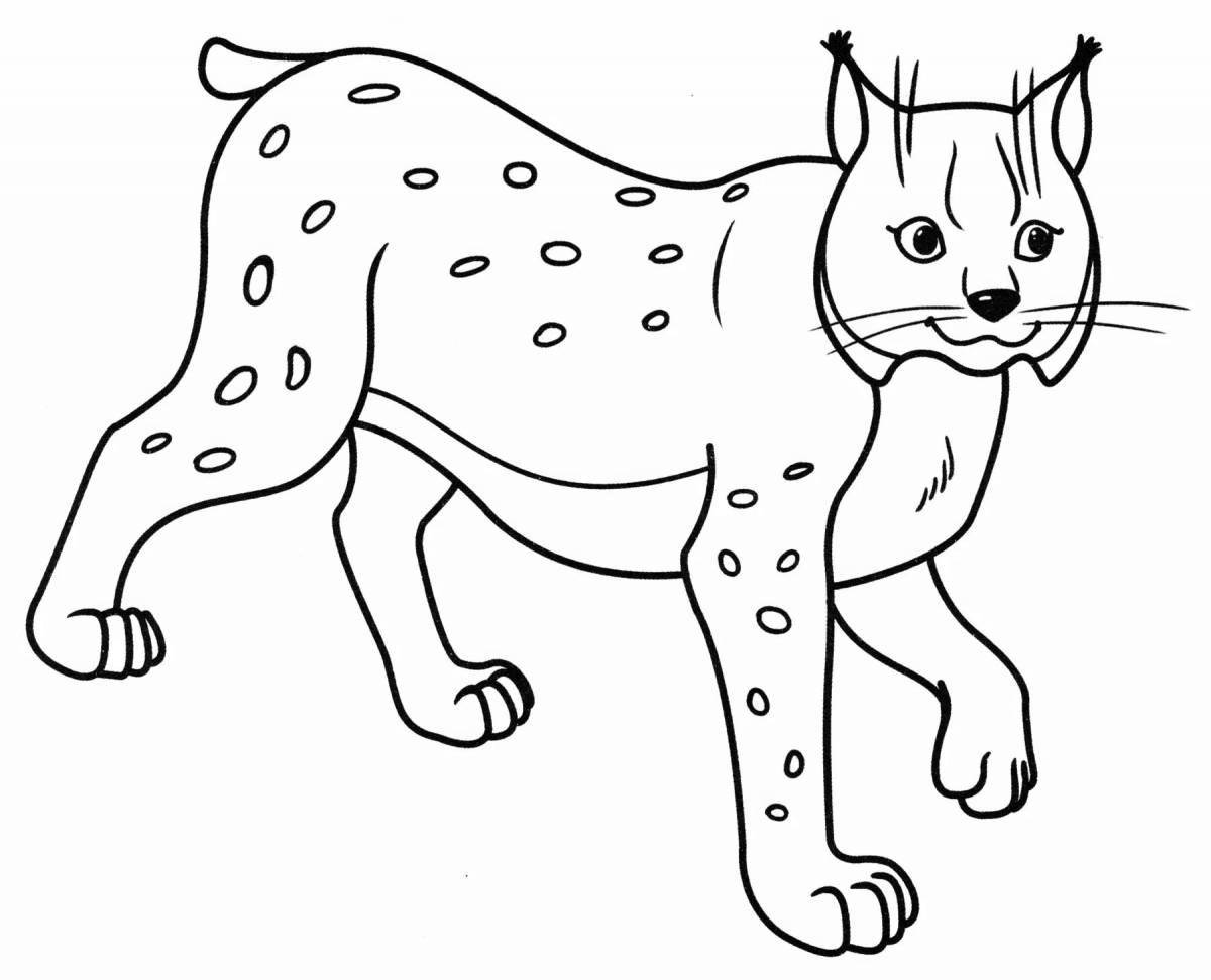 Delightful caucasian lynx coloring book