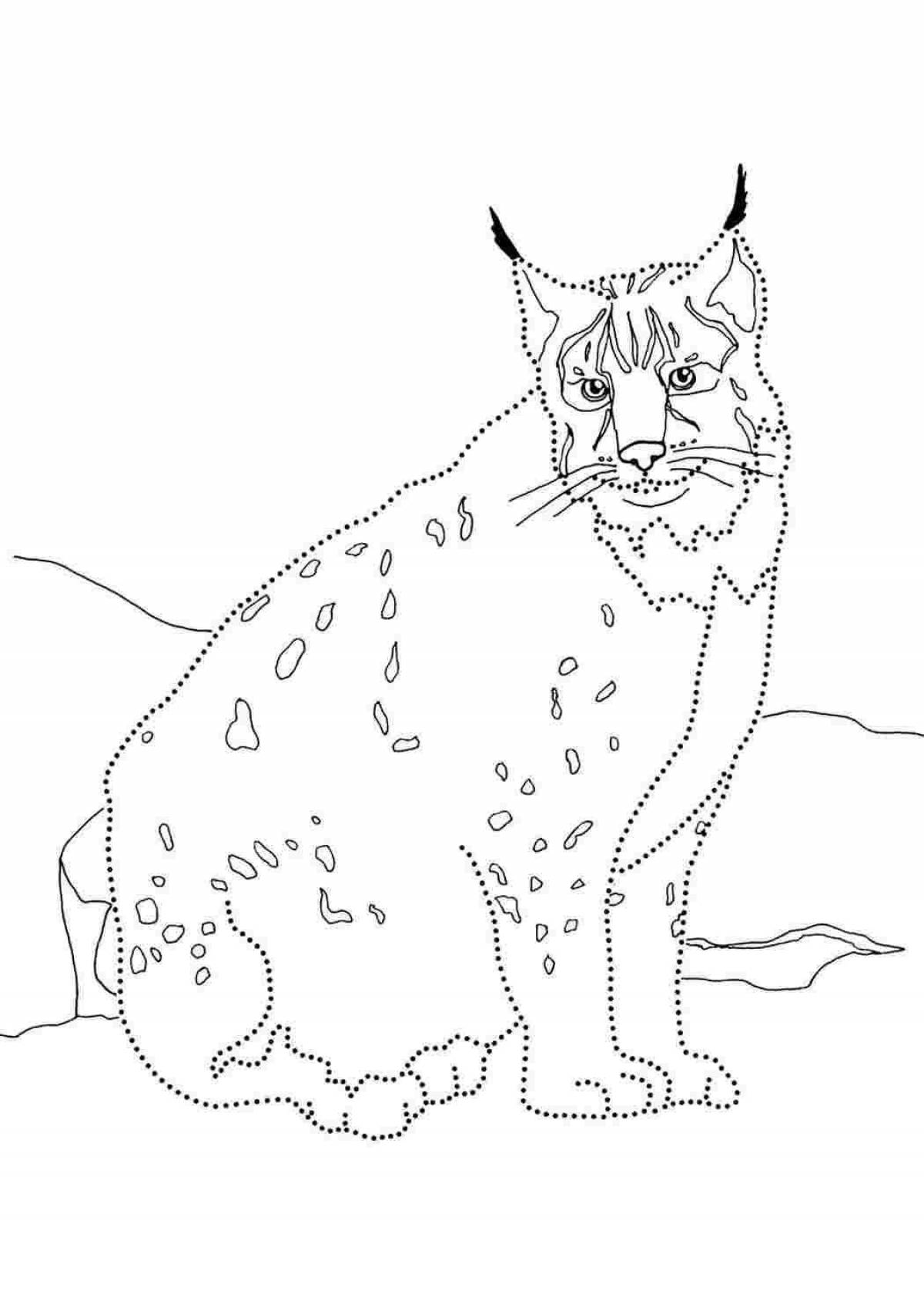 Intriguing Caucasian lynx coloring book