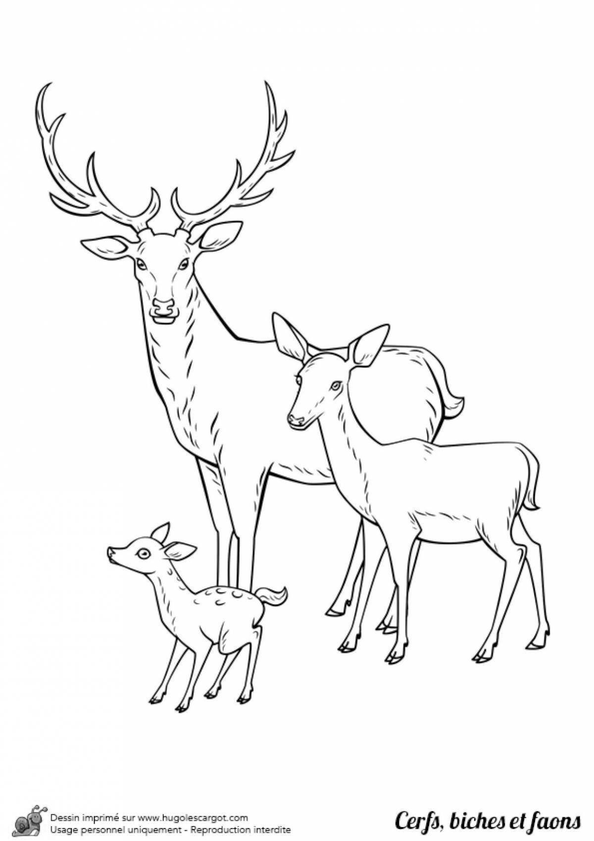 A fascinating drawing of a deer