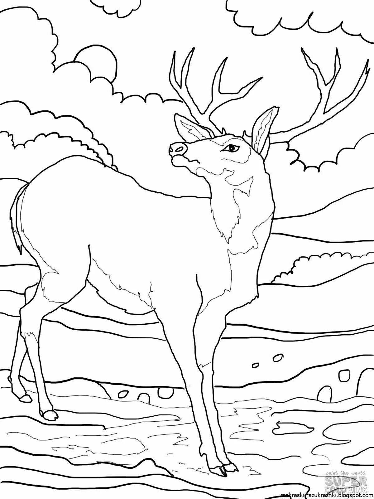 Shiny deer coloring page